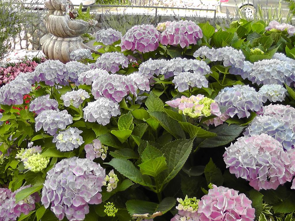 Lavanda 3 Нивице Екстериор снимка
